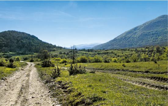 Tartturi in Molise