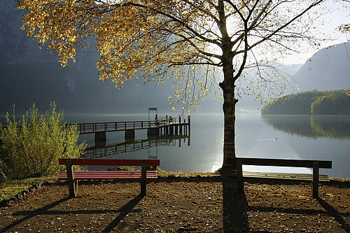 Hallstädter See