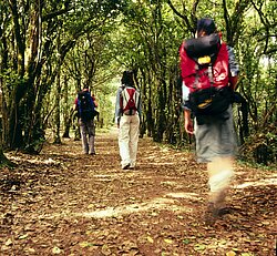 Höllenschlucht Teneriffa