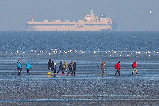 Winterwandern im Watt in Cuxhaven