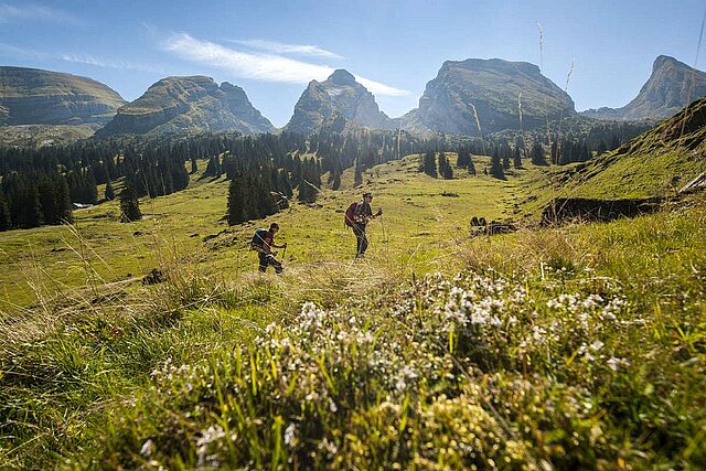 Toggenburger Höhenweg