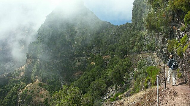 Richtung Arieiro / Madeira