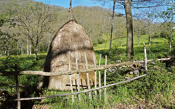 Tratturo bei Carovilli